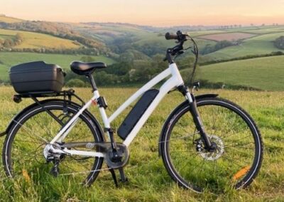 ebike in field electric bike with back box fitted
