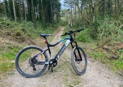 E Mountain bike in woods with tall trees