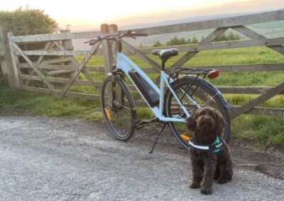 E bike against gate and view with friendly dog