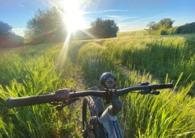 E mountain bike with long grass and sunset