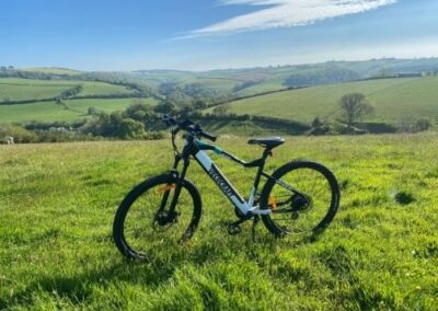 E mountain bike in field